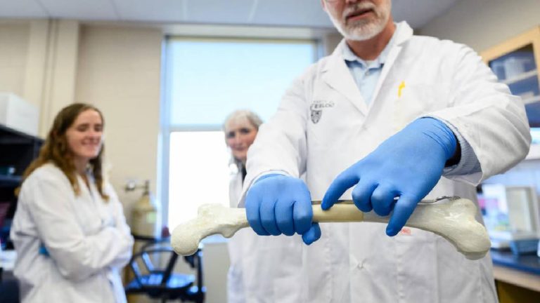 La impresión 3D personalizada de injertos de huesos, ya es posible