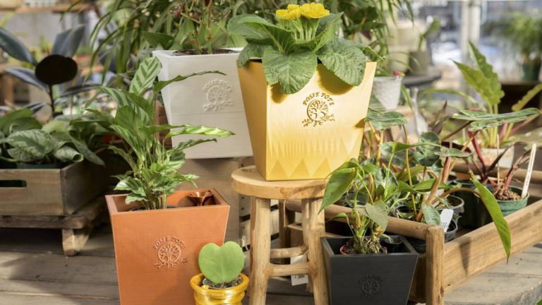 La ingeniera Kay Wells lanza sus nuevas macetas de autorriego impresas en 3D